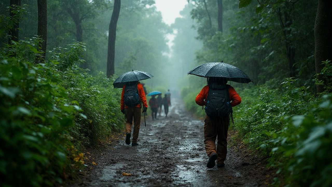 Western Ghats Wonders